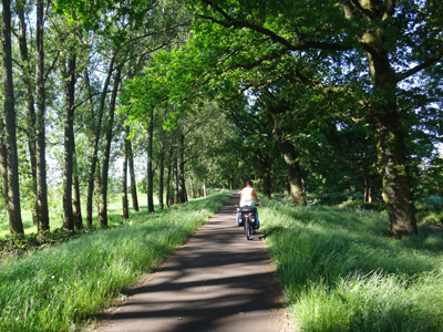 Gegen den Strom - Elberadweg