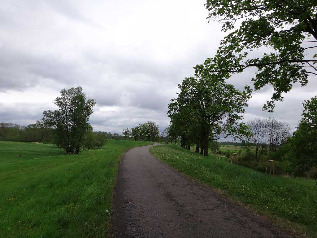 WE-(Renn)Radtour Oder (Angermünde - Forst)