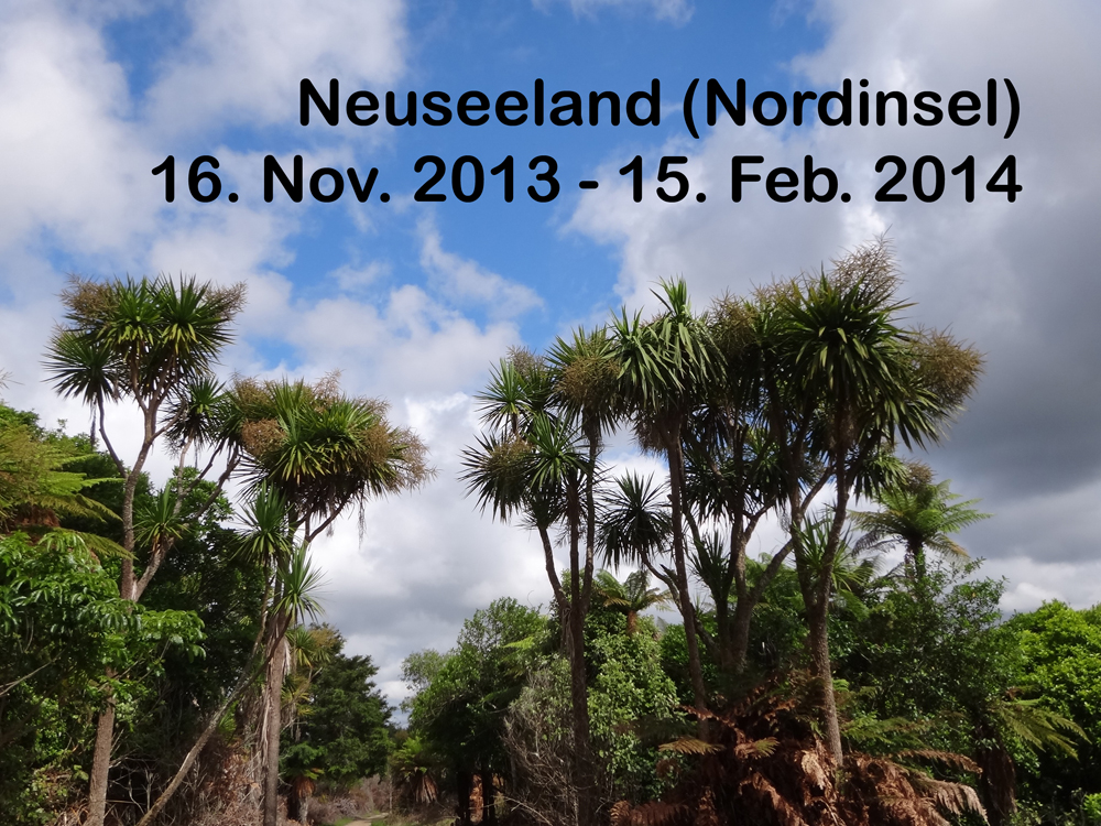 Neuseeland 2013/14