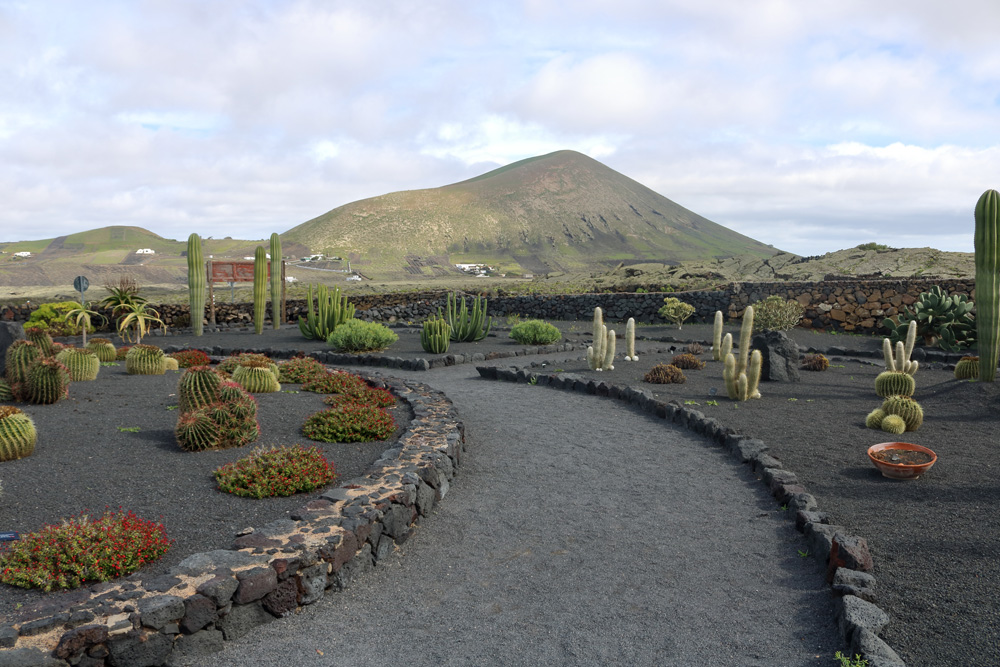 Lanzarote mit dem Rennrad