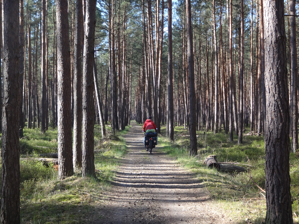 Saisonstart 2019 mit dem Trekkingrad