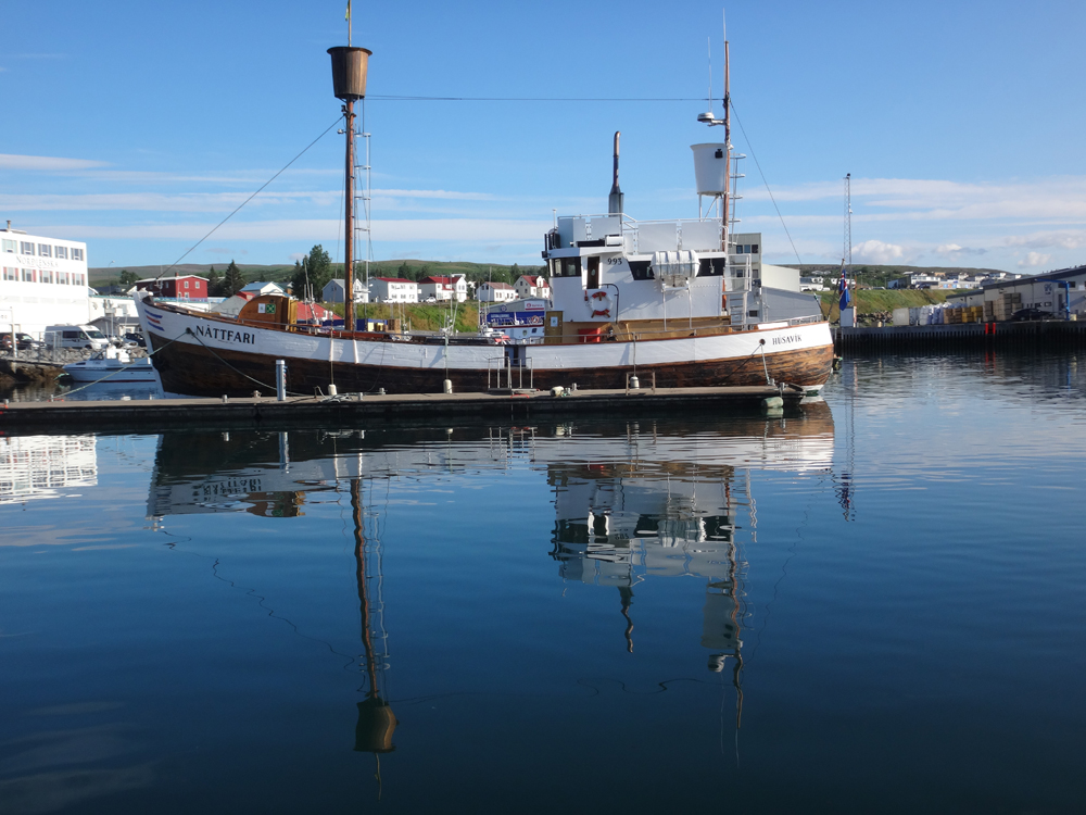 Unser Wal-Watching-Boot