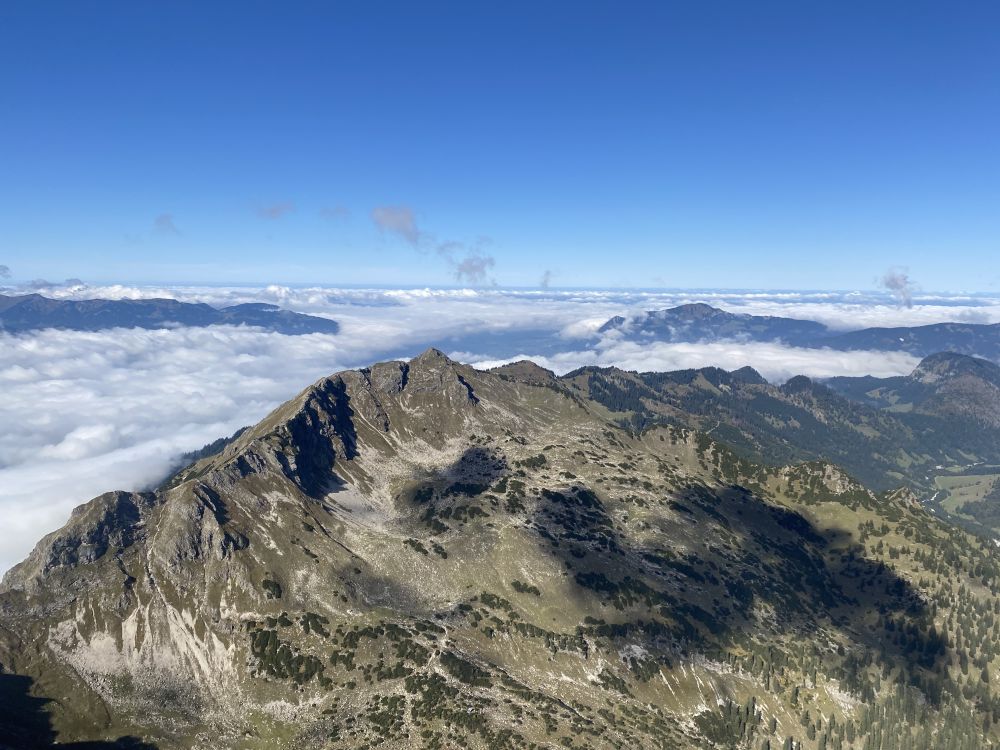 Blick vom Nebelhorn